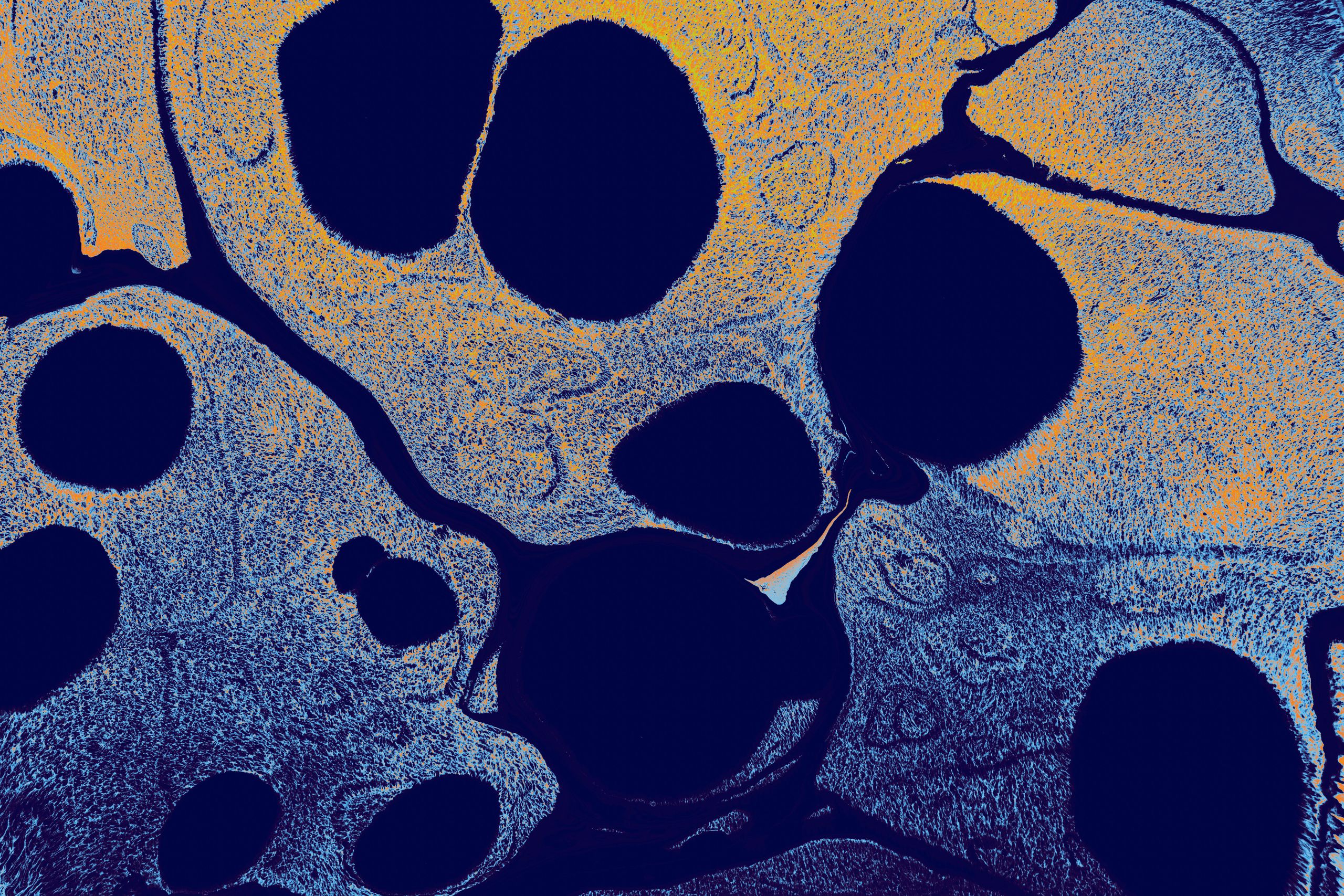 Artistic abstract image featuring blue and yellow textures with circular patterns.